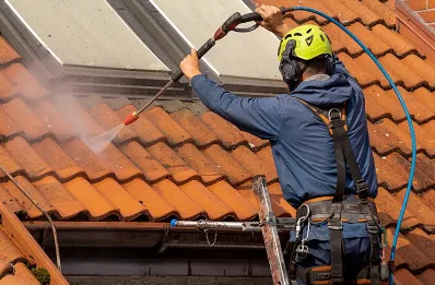 Démoussage et hydrofuge de toiture au Cellier